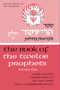 Twelve Prophets I