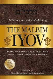 The Malbim on Iyov