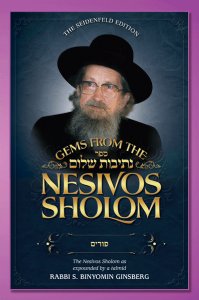 Gems from the Nesivos Shalom: Purim