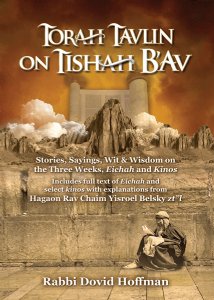 Torah Tavlin on Tisha B'av