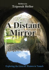 A Distant Mirror