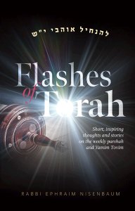 Flashes of Torah