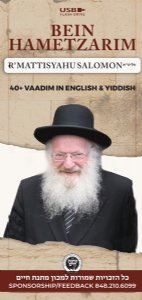 Rav Mattisyahu Salomon Vaadim - Bein Hametzarim - USB