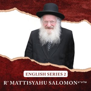 Rav Mattisyahu Salomon Vaadim - English Series 2 - CD