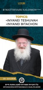 Rav Mattisyahu Salomon Vaadim - English Series 1 - USB