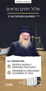 Rav Mattisyahu Salomon Vaadim - Elul and Yamim Nora'im - USB