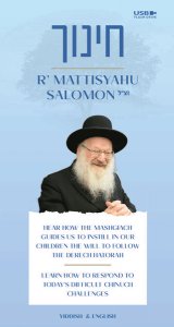 Rav Mattisyahu Salomon Vaadim - Chinuch - USB